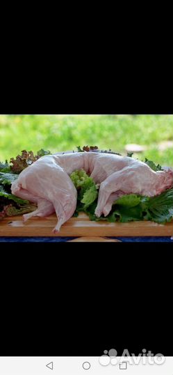 Продам мясо кролика