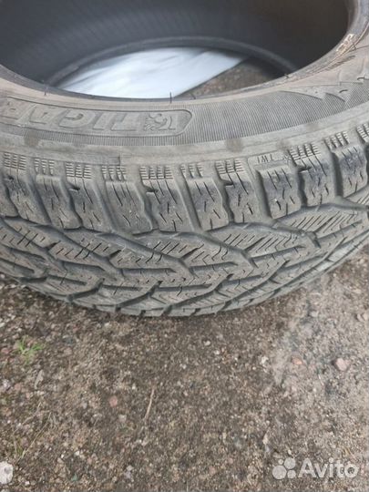 Tigar Winter 195/60 R15 88T