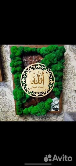 Картины из стабилизированного мха 