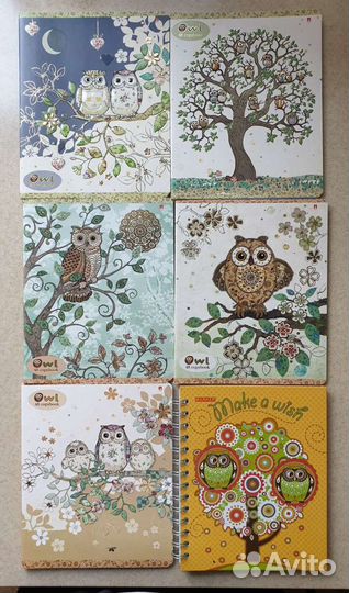 Комплект тетрадей 48 л. в клетку совы