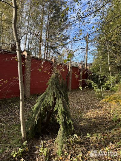 Уход за садом услуги садовников