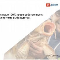 Агентство по рыбоводству в городе Цхинвал, Цхинвал