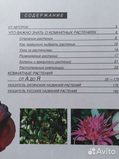 Энциклопедия Комнатные растения