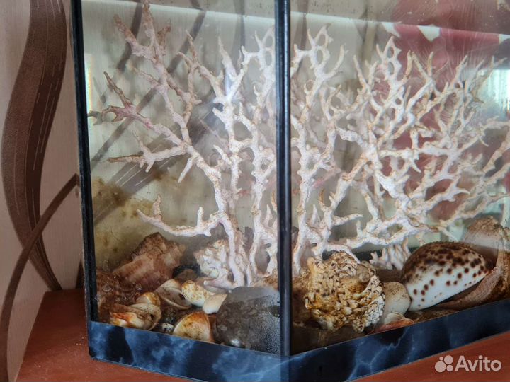 Аквариум на 20л