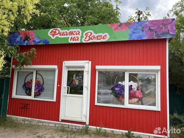 Магазин фиалок «фиалка на волге»