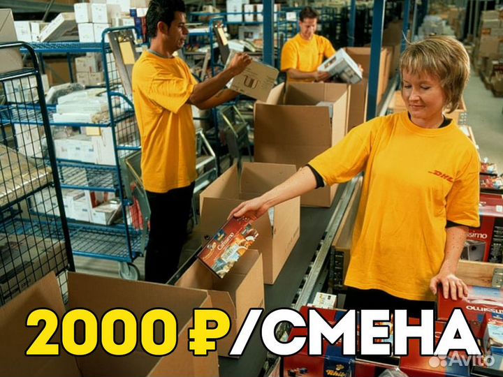 Вахта упаковщица