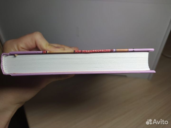 Книга Ася Лавринович Планы на лето