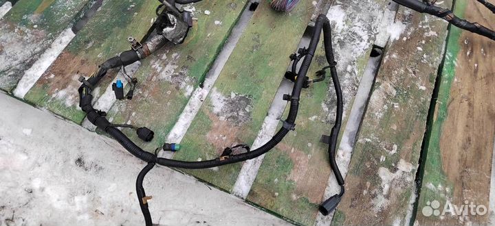 Проводка (коса) двигателя Jaguar XF, X250 (2008-2