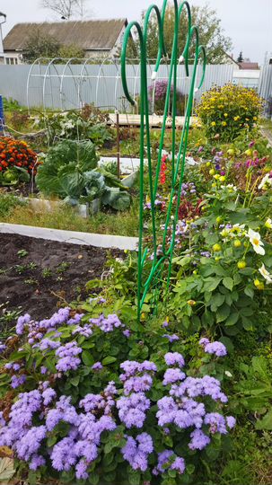 Участок 8,5 сот. (ИЖС)