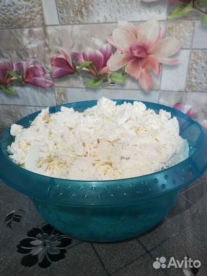 Творог,сыр,кефир,сметана