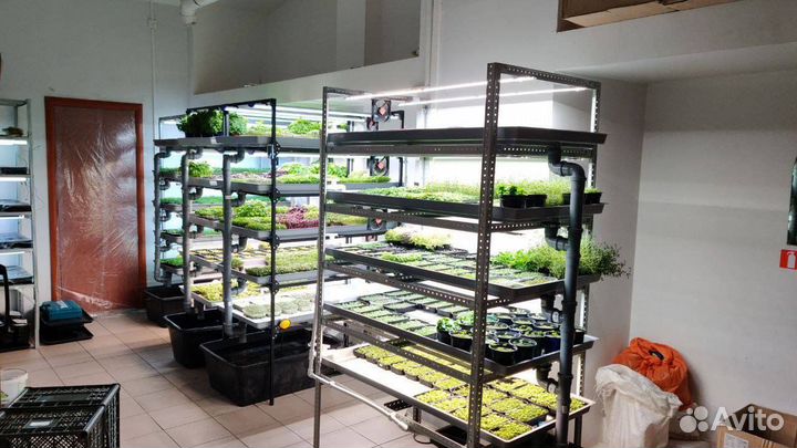 Помогу открыть свой бизнес сити ферму