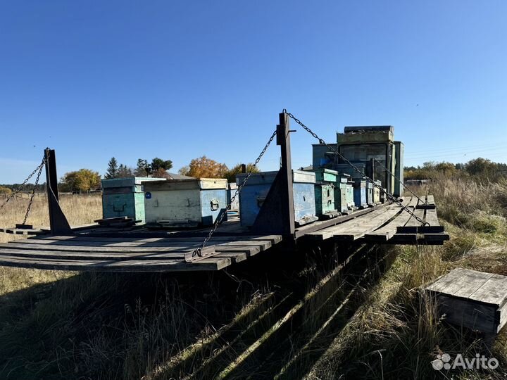 Продается пасека