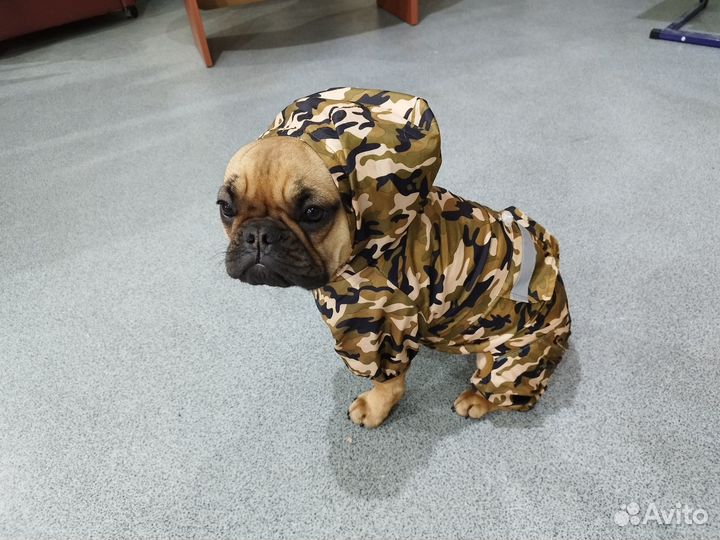 Комбинезон-дождевик с капюшоном для собак