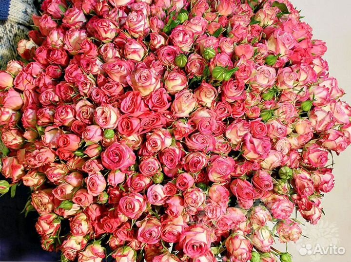 Букет из 41 кустовой розы