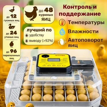Инкубатор Sititek 48