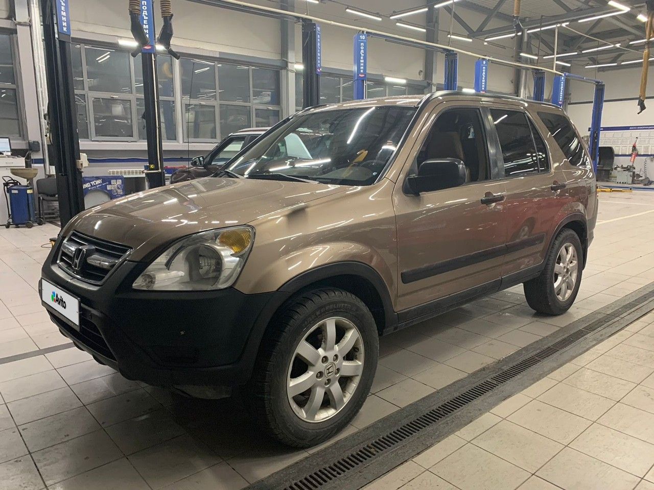 Honda CR-V: фото владельца