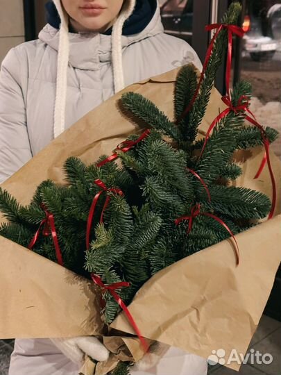 Ель букет из нобилиса