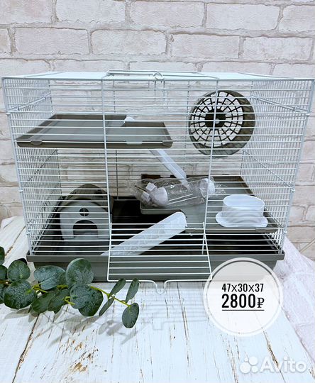 Новые клетки для грызунов