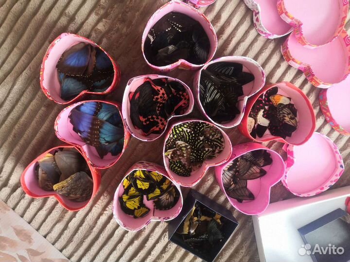 Крылья тропических бабочек эпоксидная смола