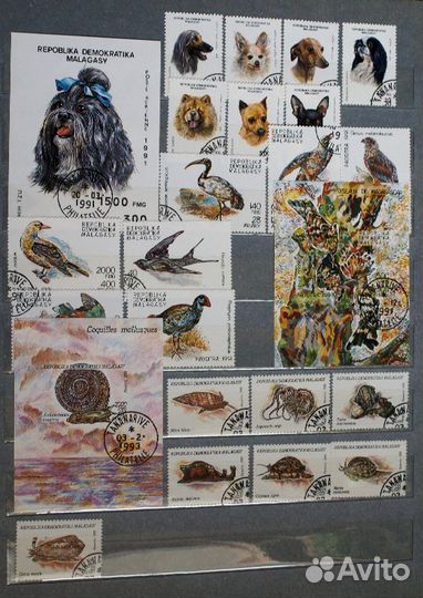 Продам коллекцию марок фауна