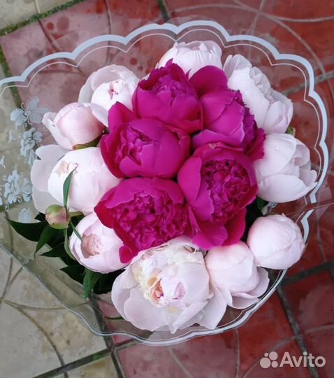 Пионы букет
