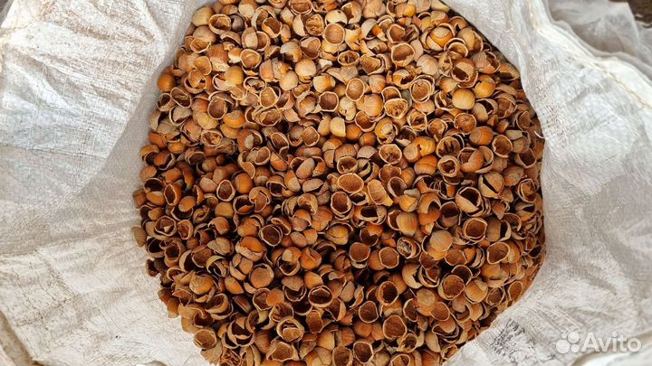 Скорлупа фундука