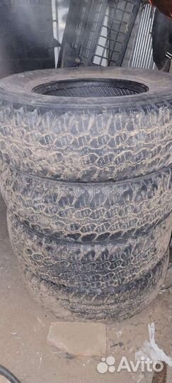 Medved Я-471 31/10.5 R15