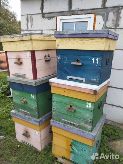 Улей дадан 12