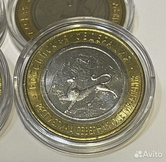 Алания гурт от Сочи 180 рисок