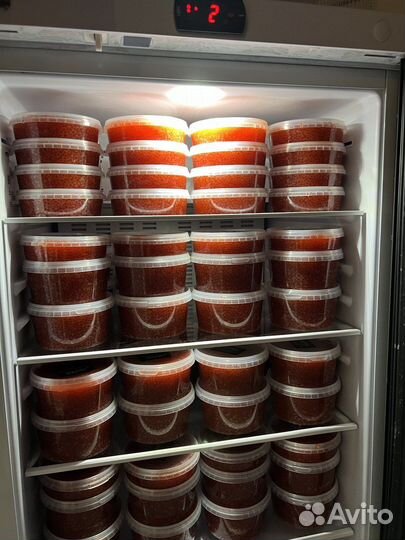 Свежая красная икра улов 2023