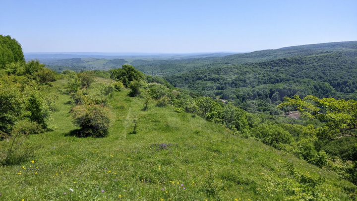 Участок 5,5 га (СНТ, ДНП)