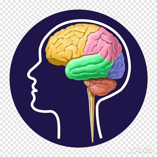 Репетитор по клиническим дисциплинам