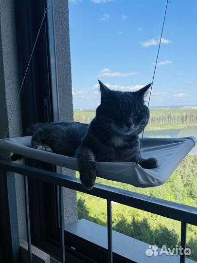 Гамак для кошек на окно