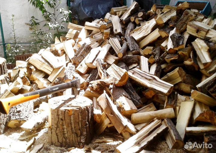 Дрова Береза