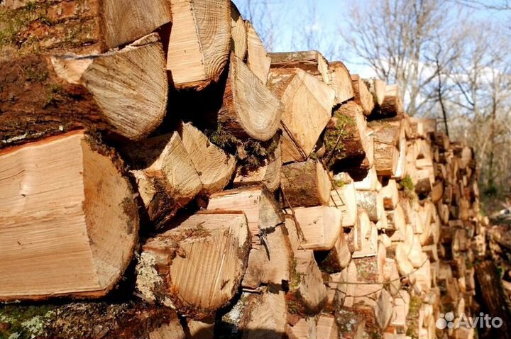 Дрова от производителя
