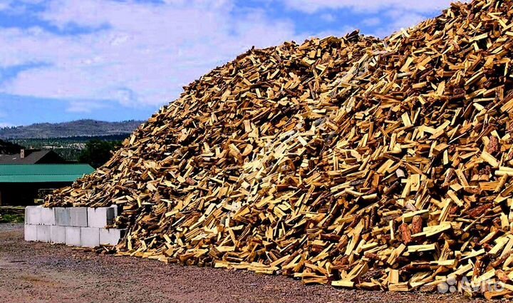 Дрова ольха