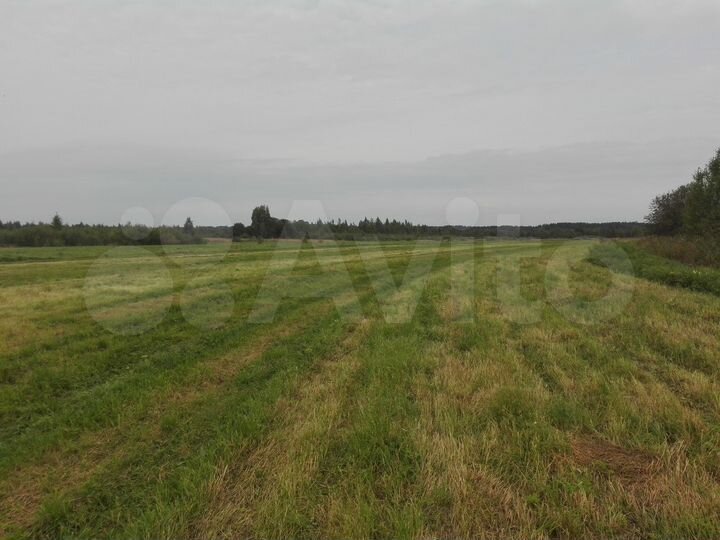 Участок 11 сот. (ИЖС)