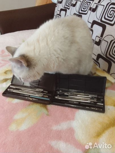 Готовальня СССР