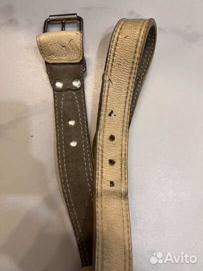 Ошейники для собак,поводок, бандана