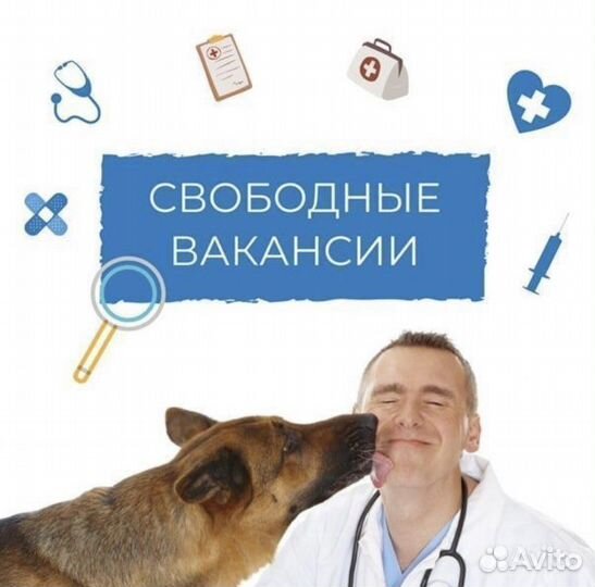 Ветеринарный врач на выезде