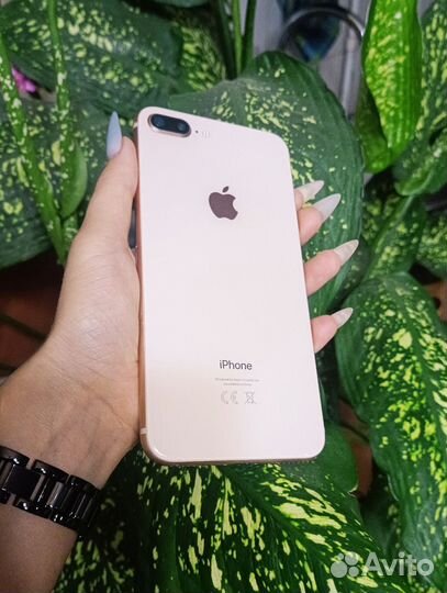 iPhone 8 Plus, 64 ГБ