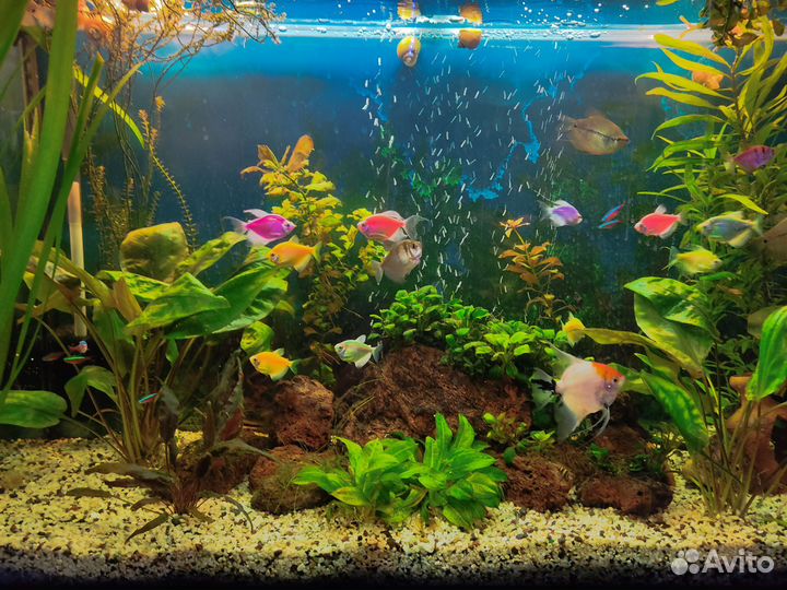 Украшение для аквариума