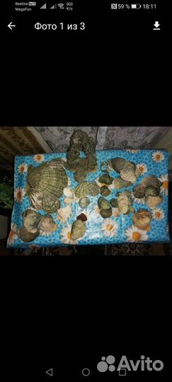 Для аквариума