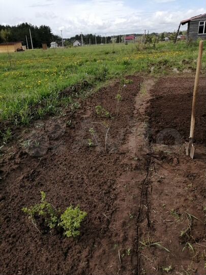 Участок 16,6 сот. (ИЖС)