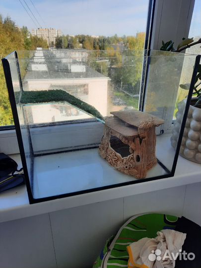 Аквариум для черепахи