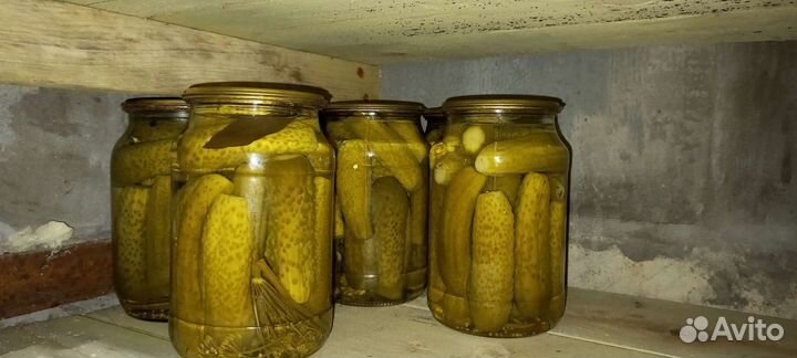 Огурцы маринованные