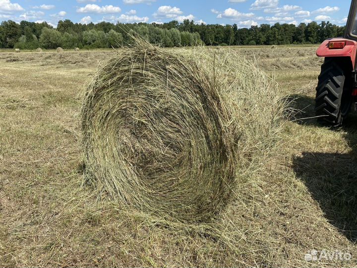 Сено в рулонах и тюках от производителя, 2022 года
