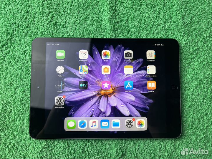 iPad Mini с симкой + Чехол