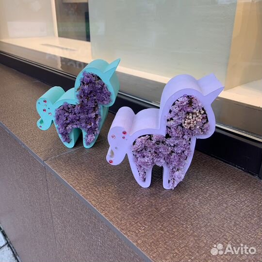 Сухоцветы Букет цветов статица