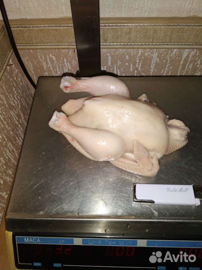 Корнишоны цыплята